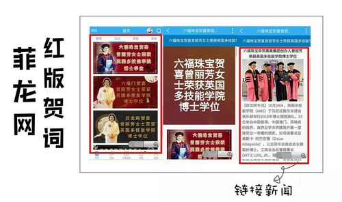 不懂如何选择广告投放？菲龙网广告业务线上一站式助力
